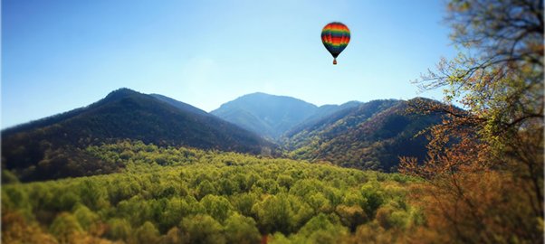 Picture of a hot air balloom over a leafy valley